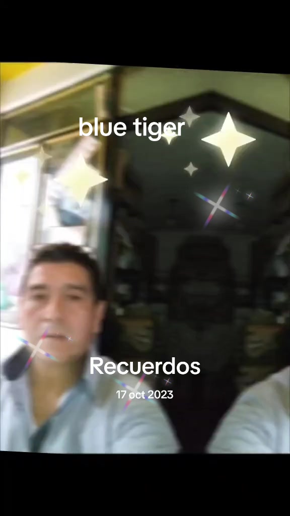 @bluetiger