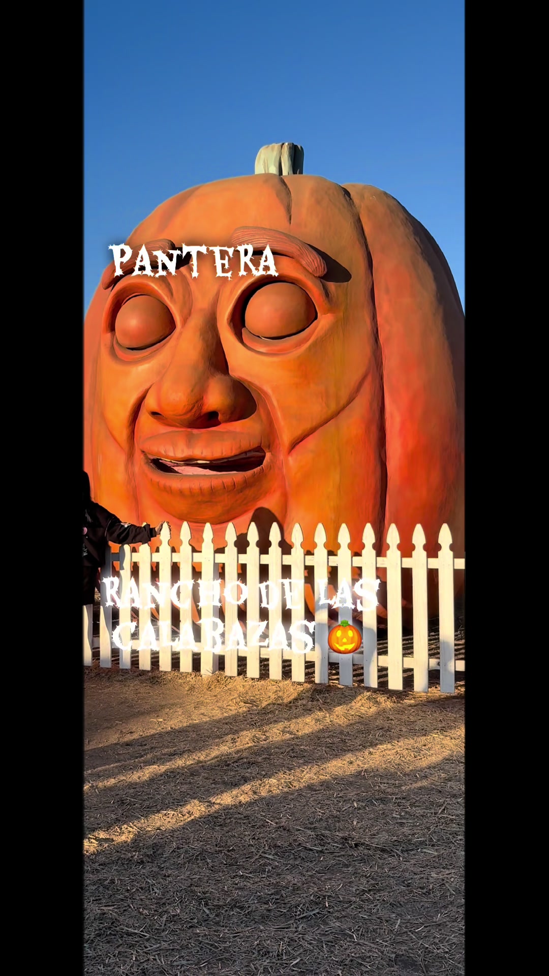 @La pantera de Oaxaca3