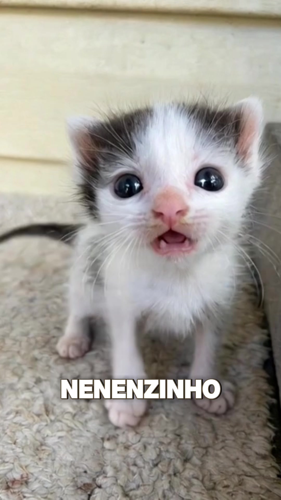 @Oii
