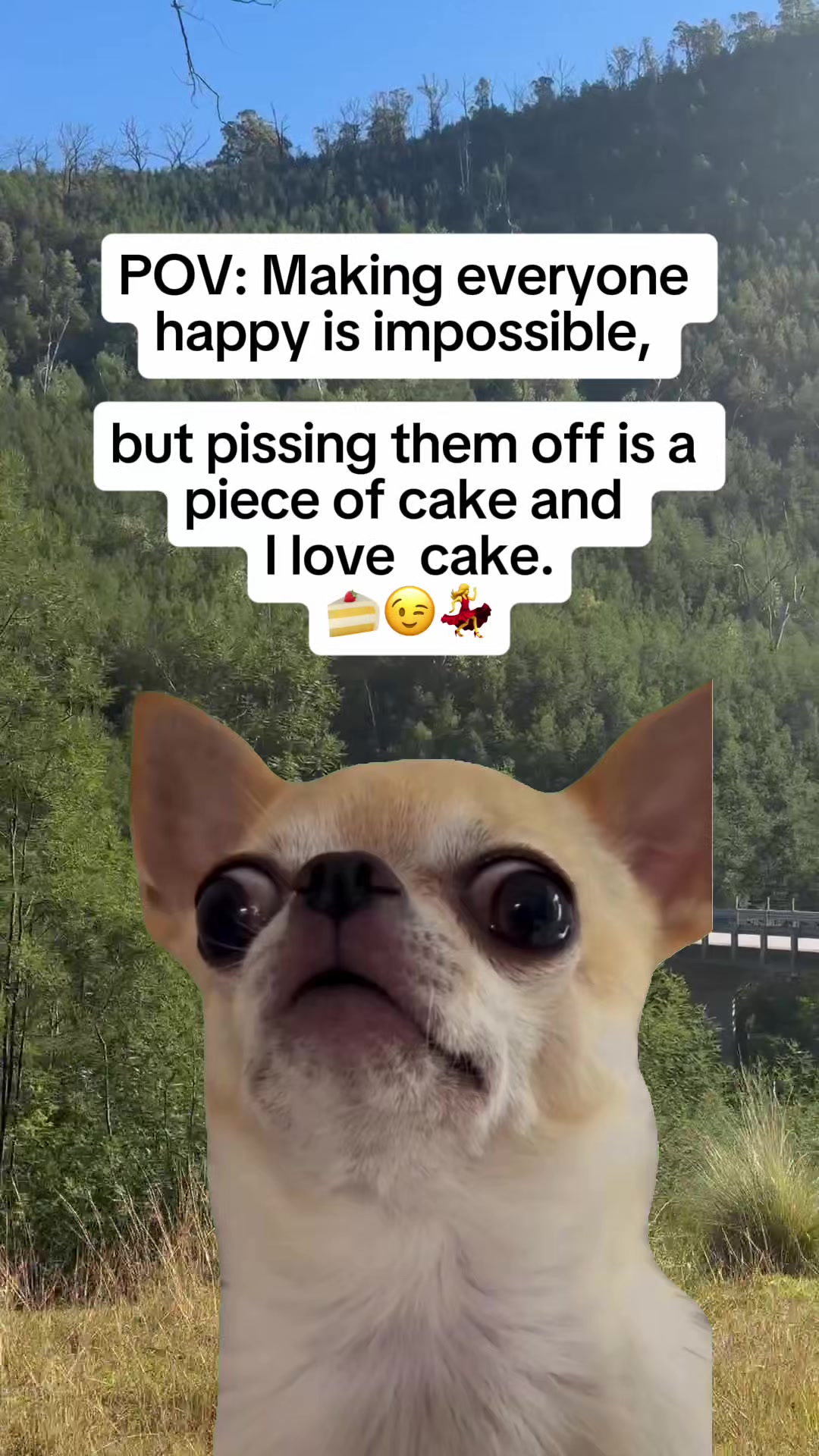 @Mr.Quotes