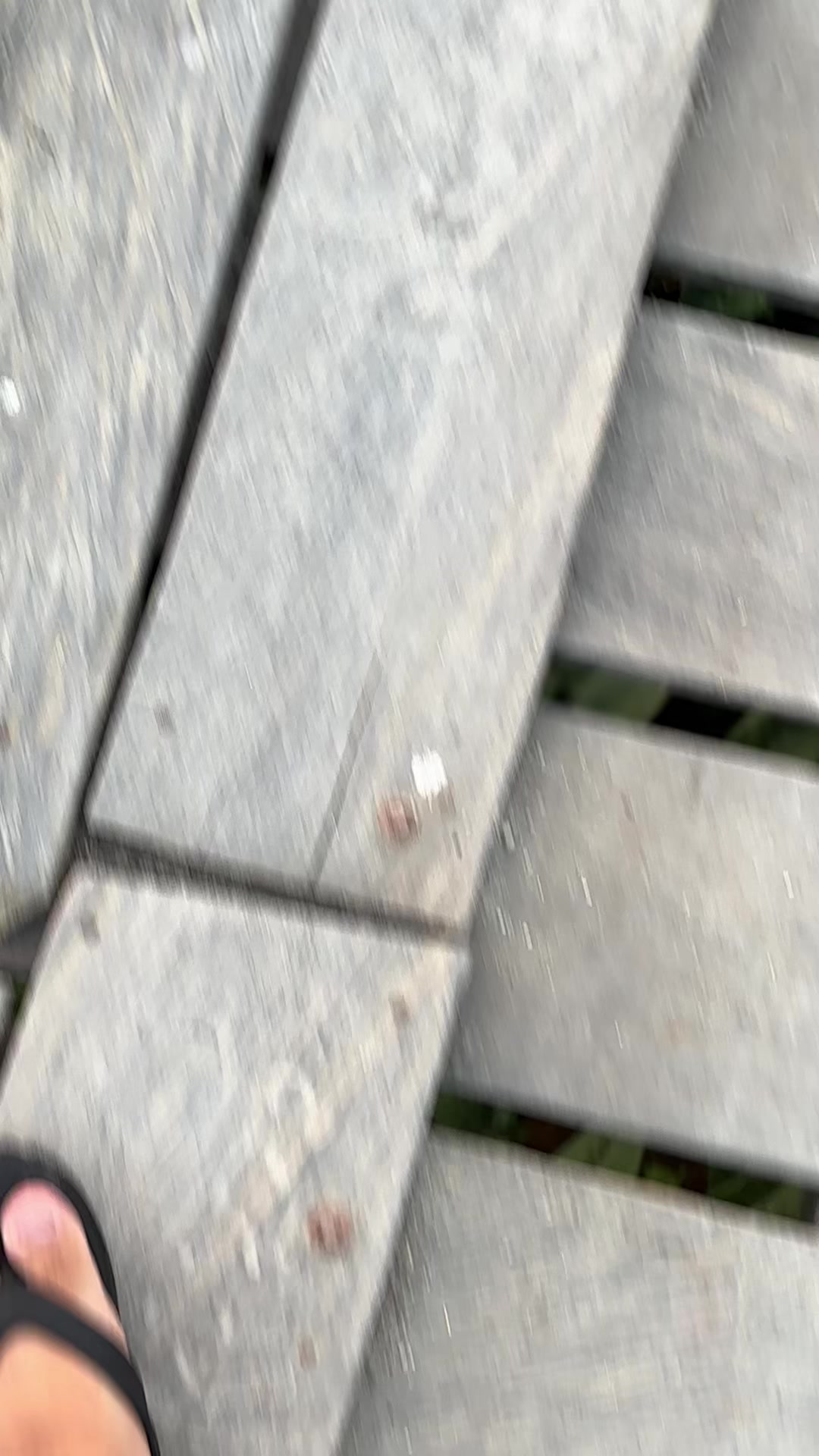 @S4N🪽