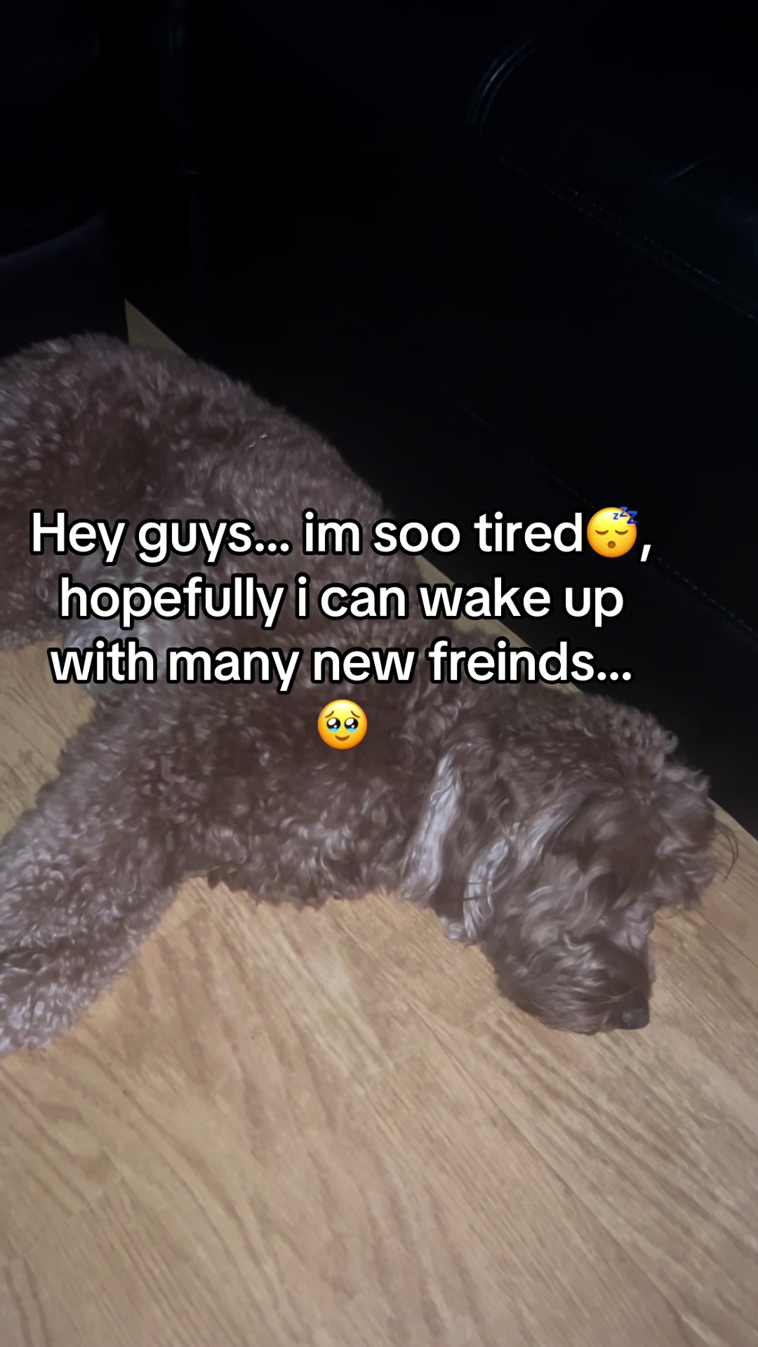 @Goldendoodlelover