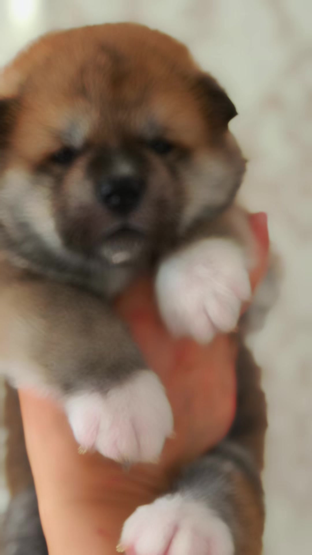 @oh_myakita