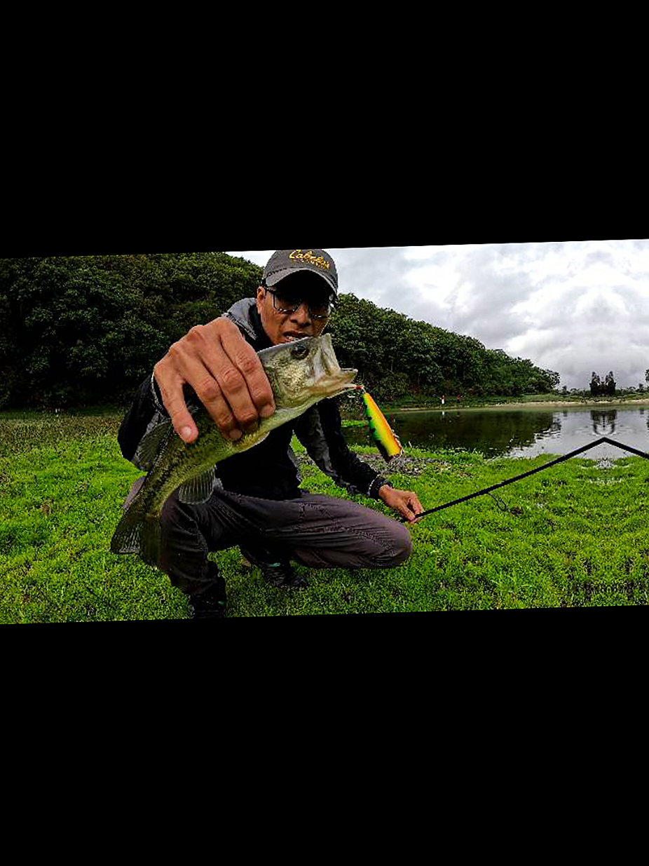 @soy 🐟SALADO🎣