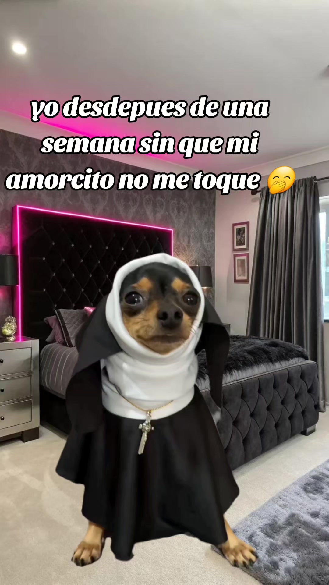 @Jasbleidy humor 🤣