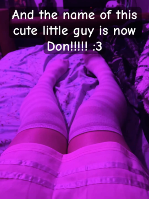 @femboy everyday