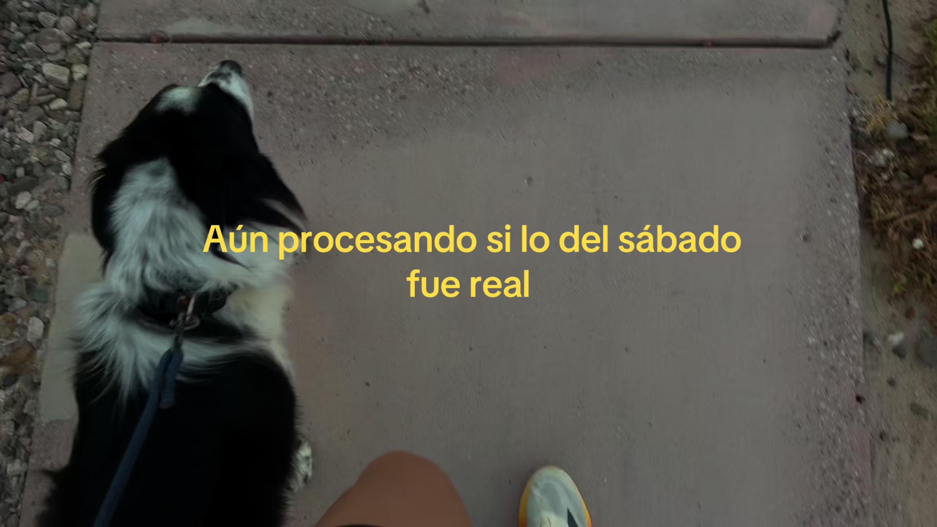 @Jash