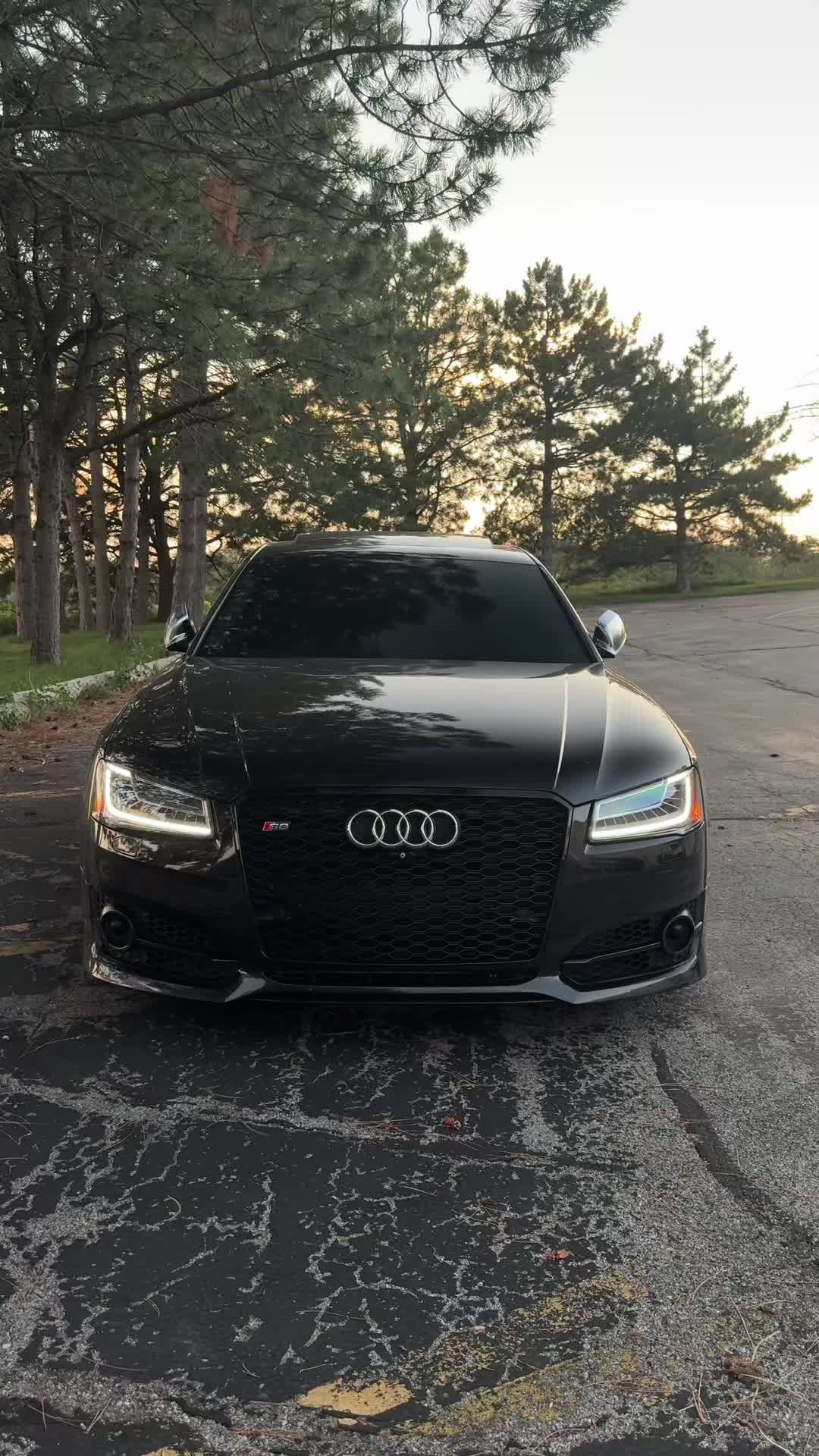 @sb88zy.