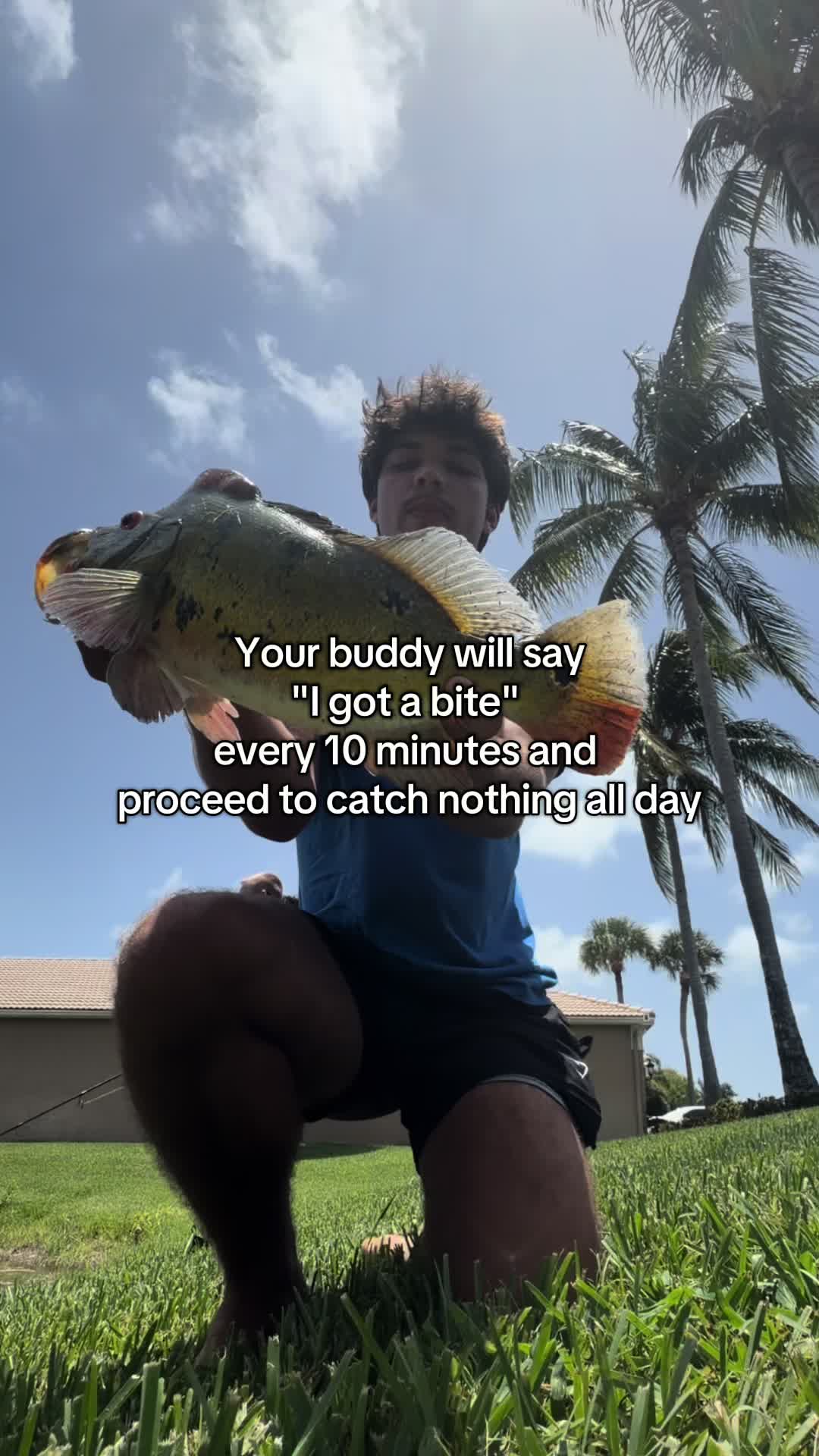 @Shark Boy