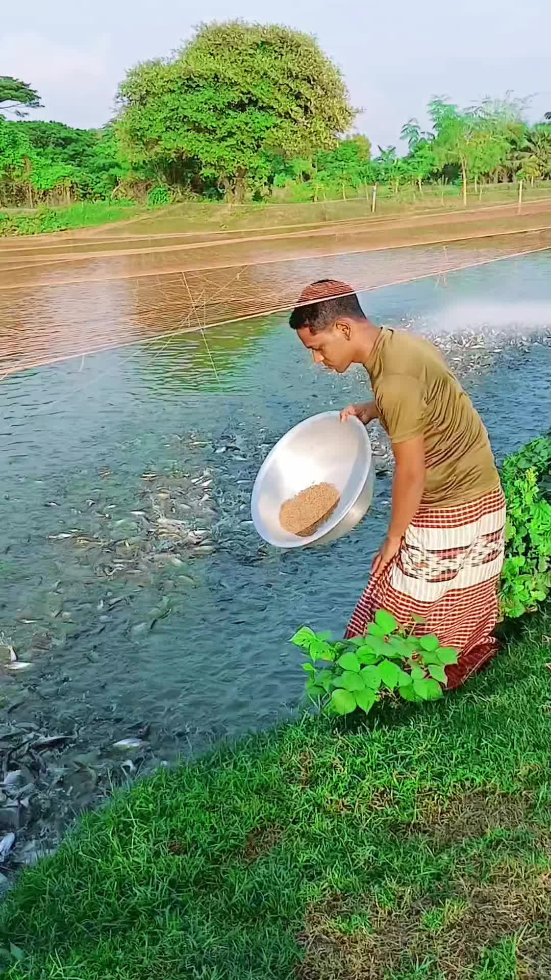 @সুজন মিয়া