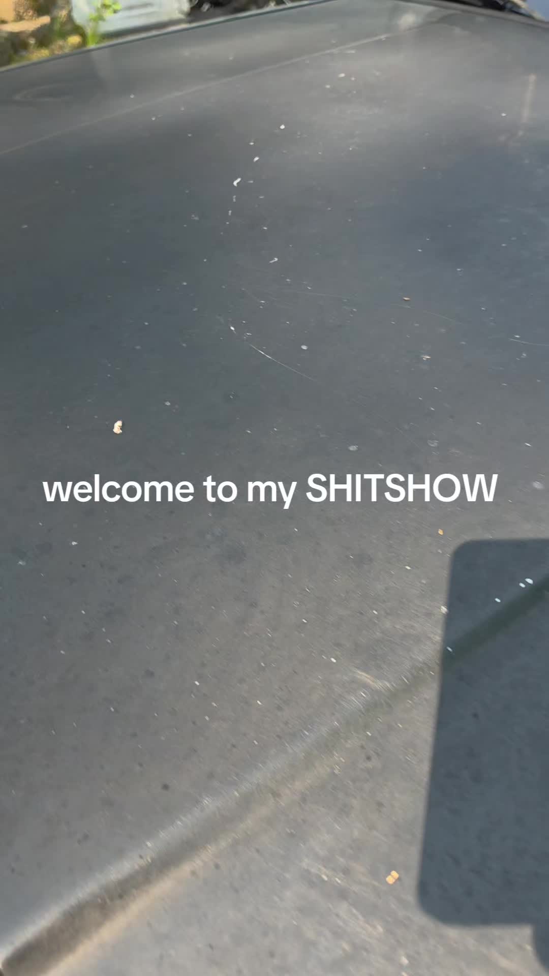 @perrin martinos