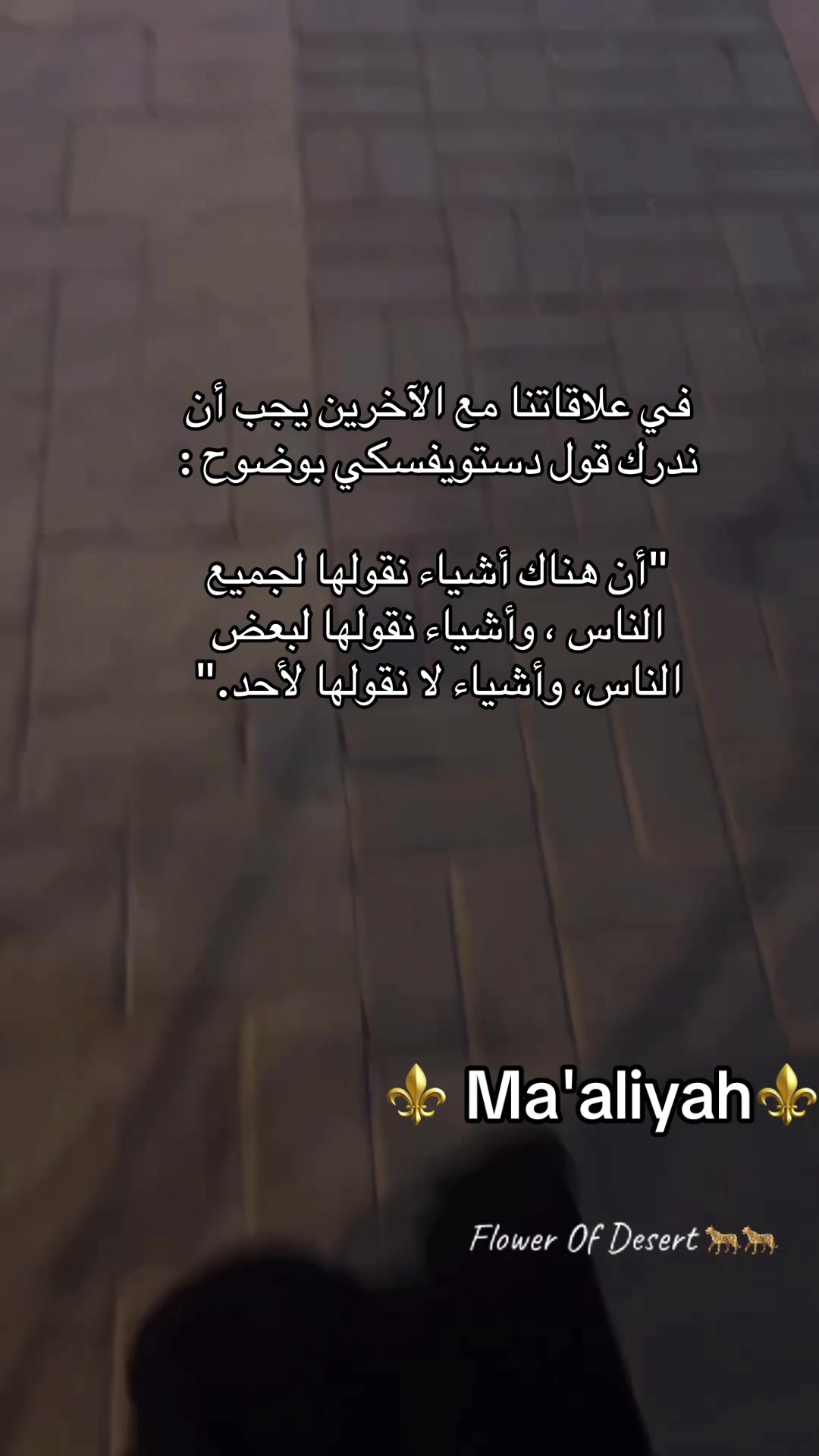 @Ma'aliyah🐆🐆🌕