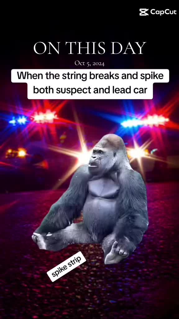 @RP7L