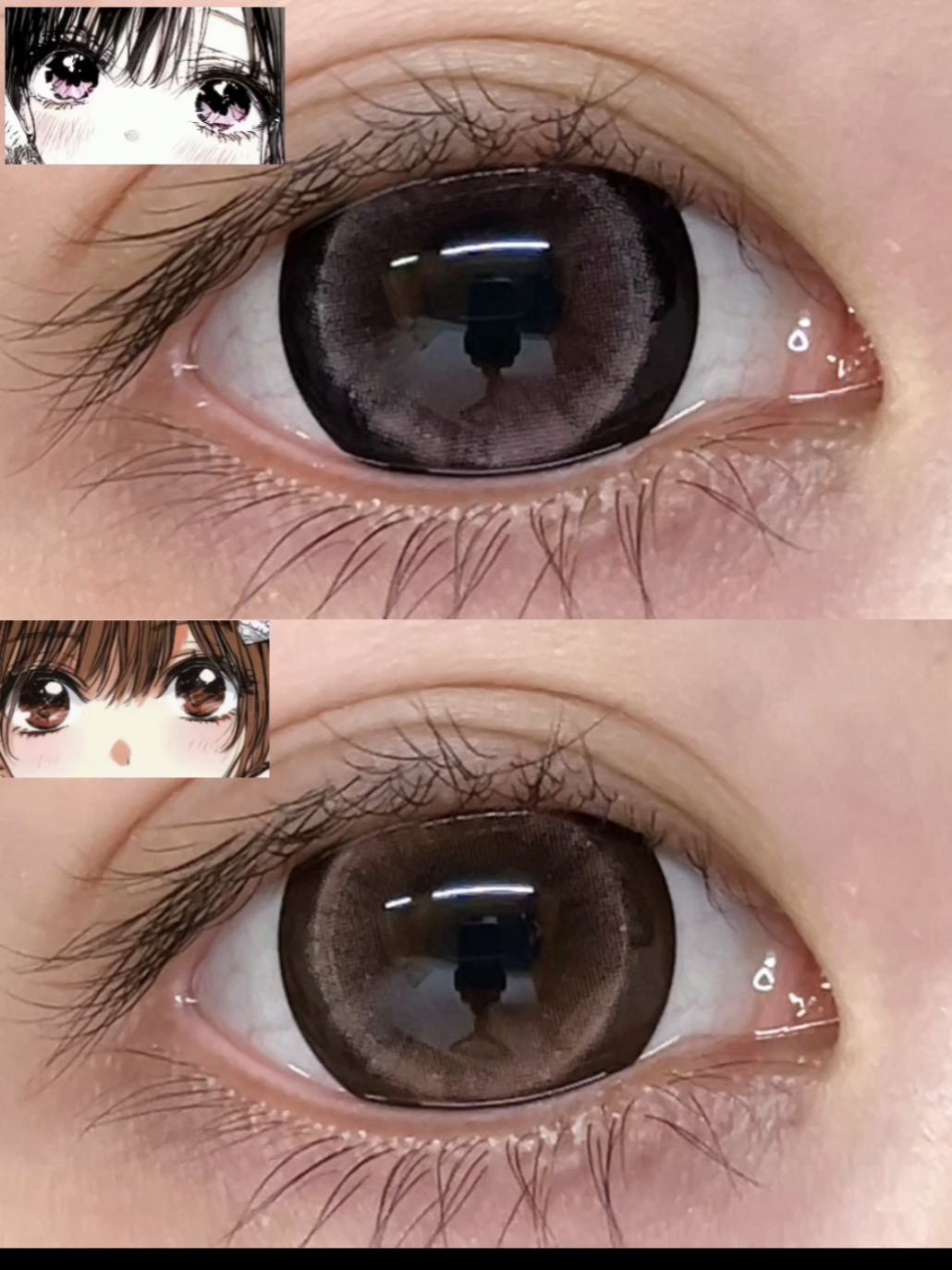 @sigocontacts_official