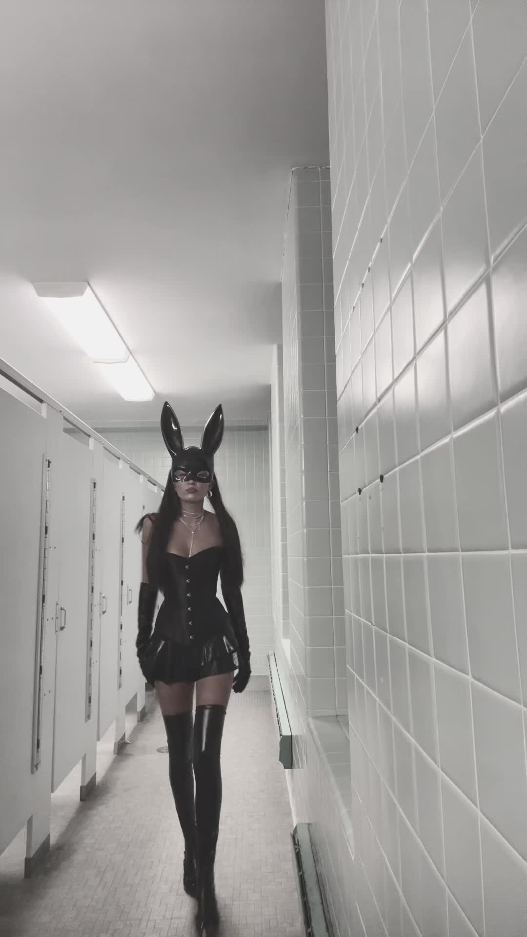 @nealacormier