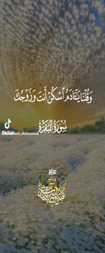 @user9116008158843