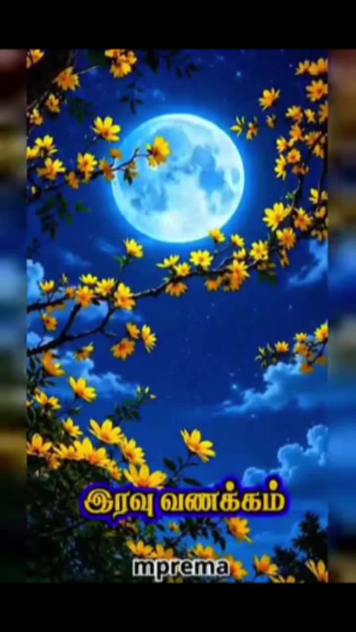 @Sai Meena