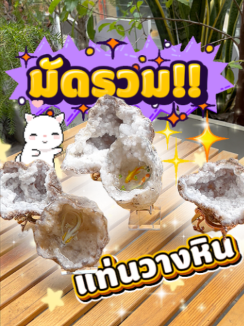 @Abo.Plus