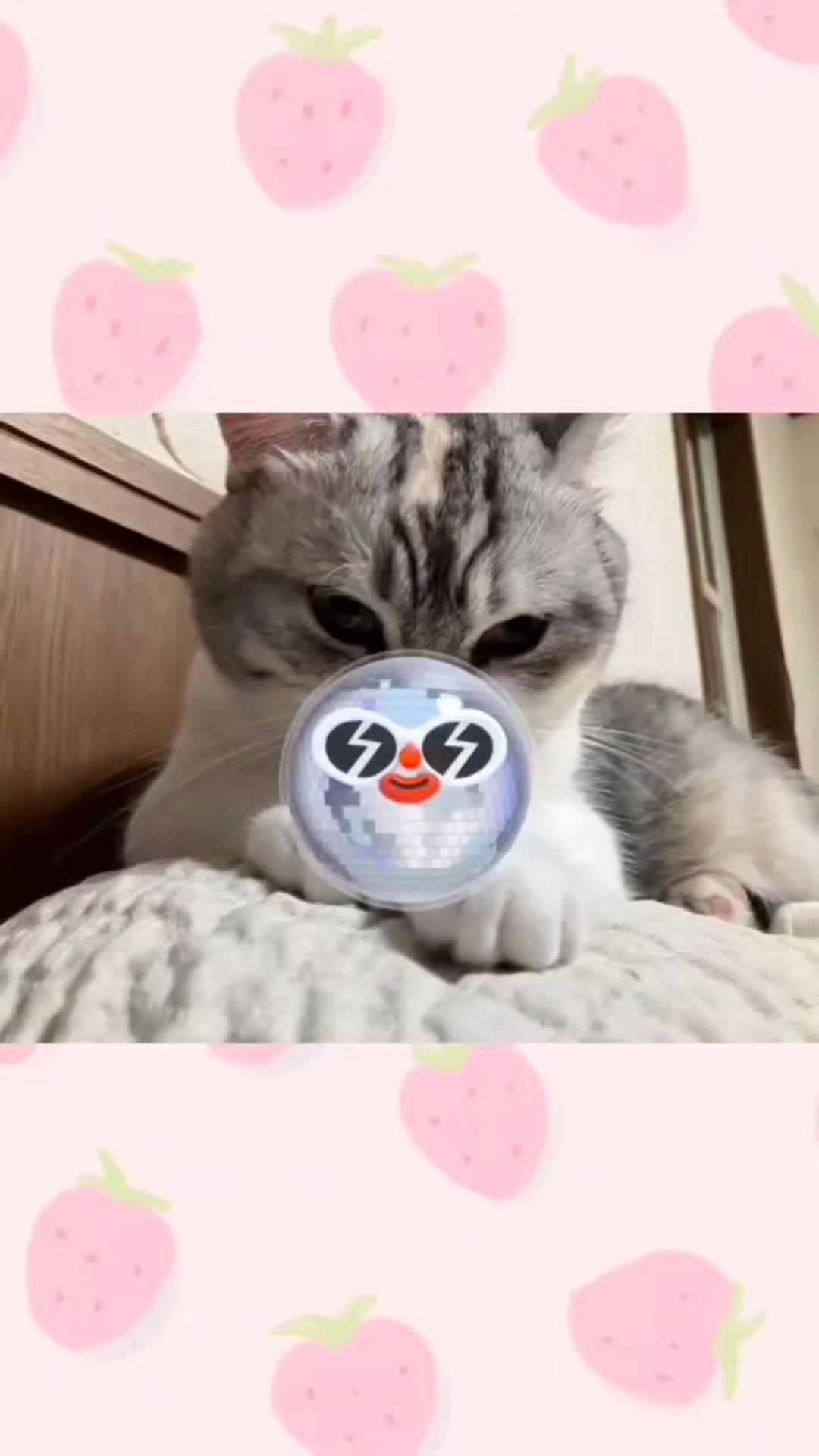 @くるくる8