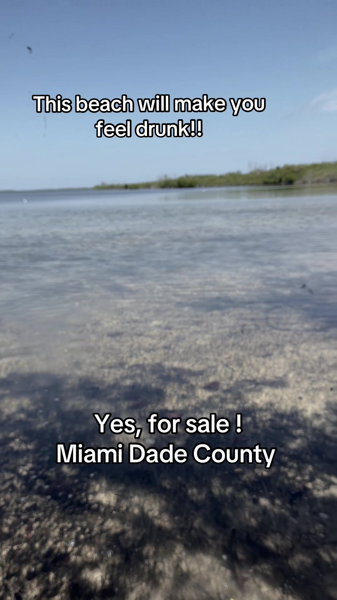 @Florida Land Guy