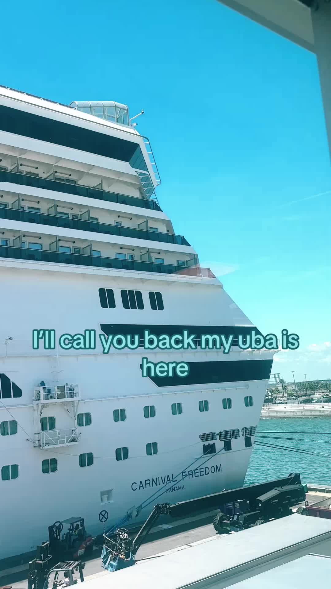 @Lily king