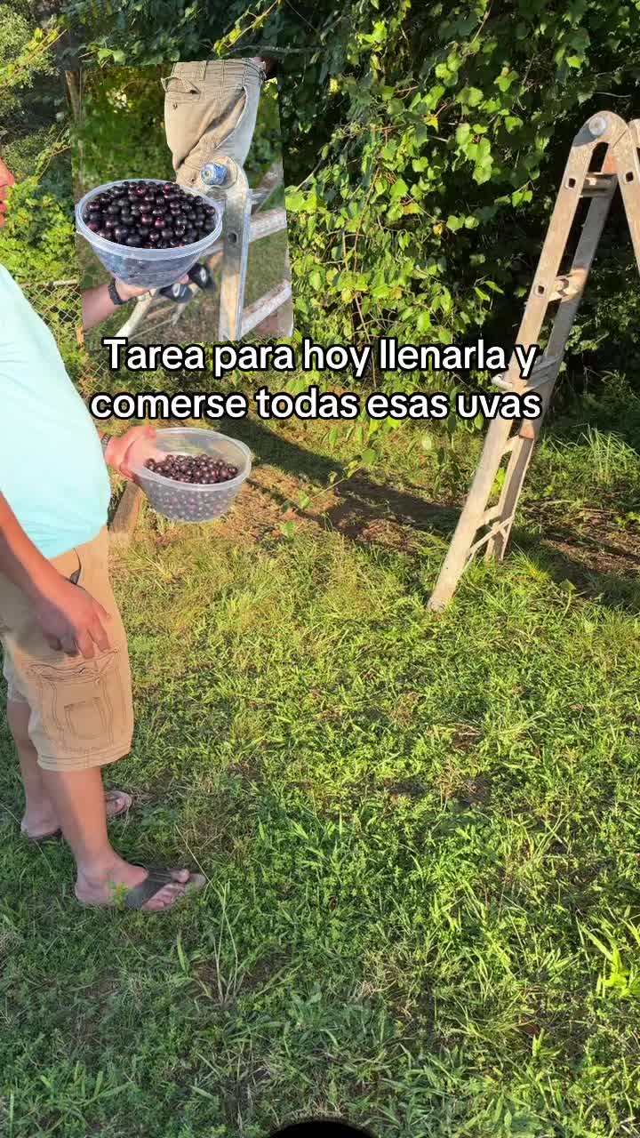 @el pay