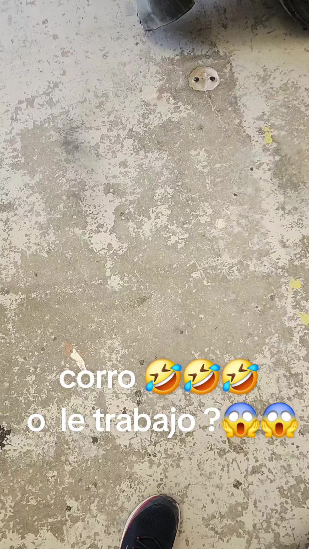 @Cesar Arias