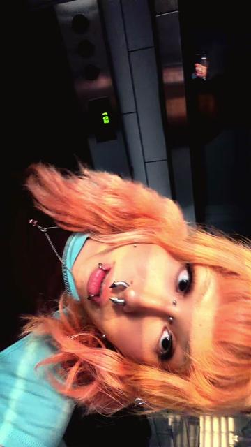 @iris ๐ซ