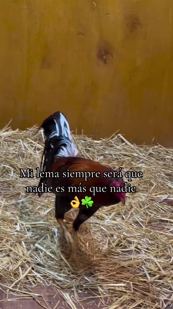 @Los tres pilones