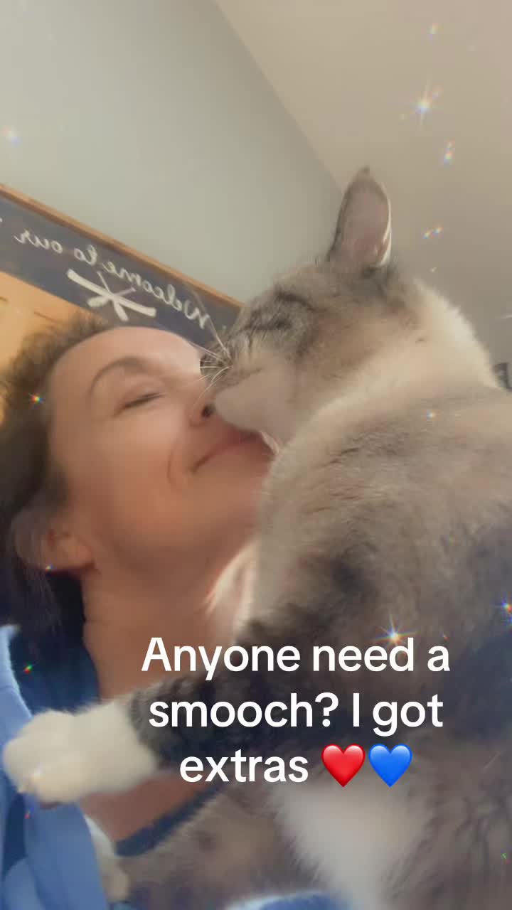 @bellkittiesmom