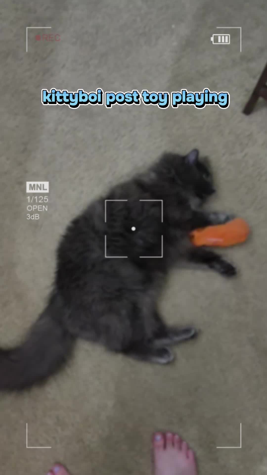 @Kittyboi