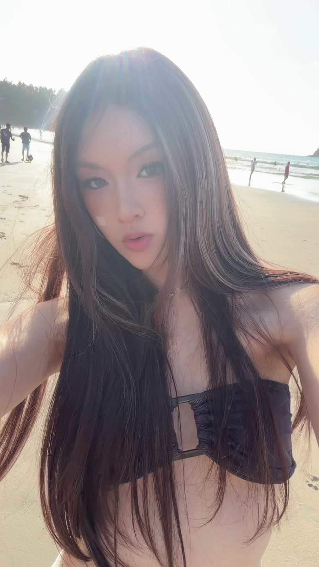@hamonica