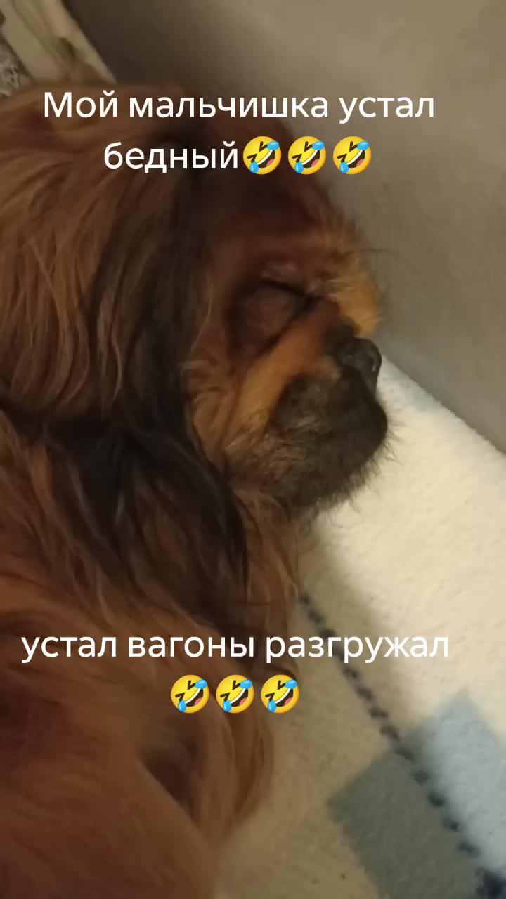 @Ирина Кизина