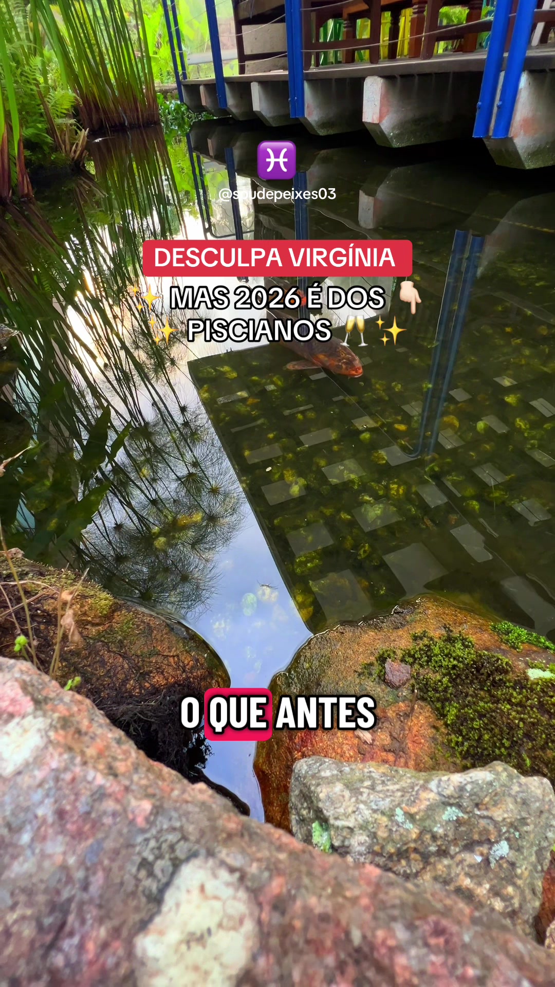 @soudepeixes