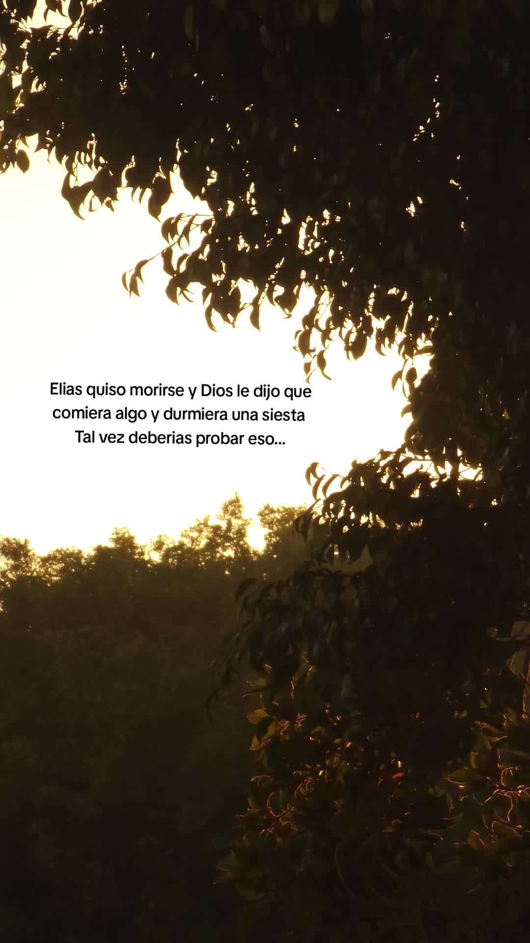 @BilsonGonzalez🔥