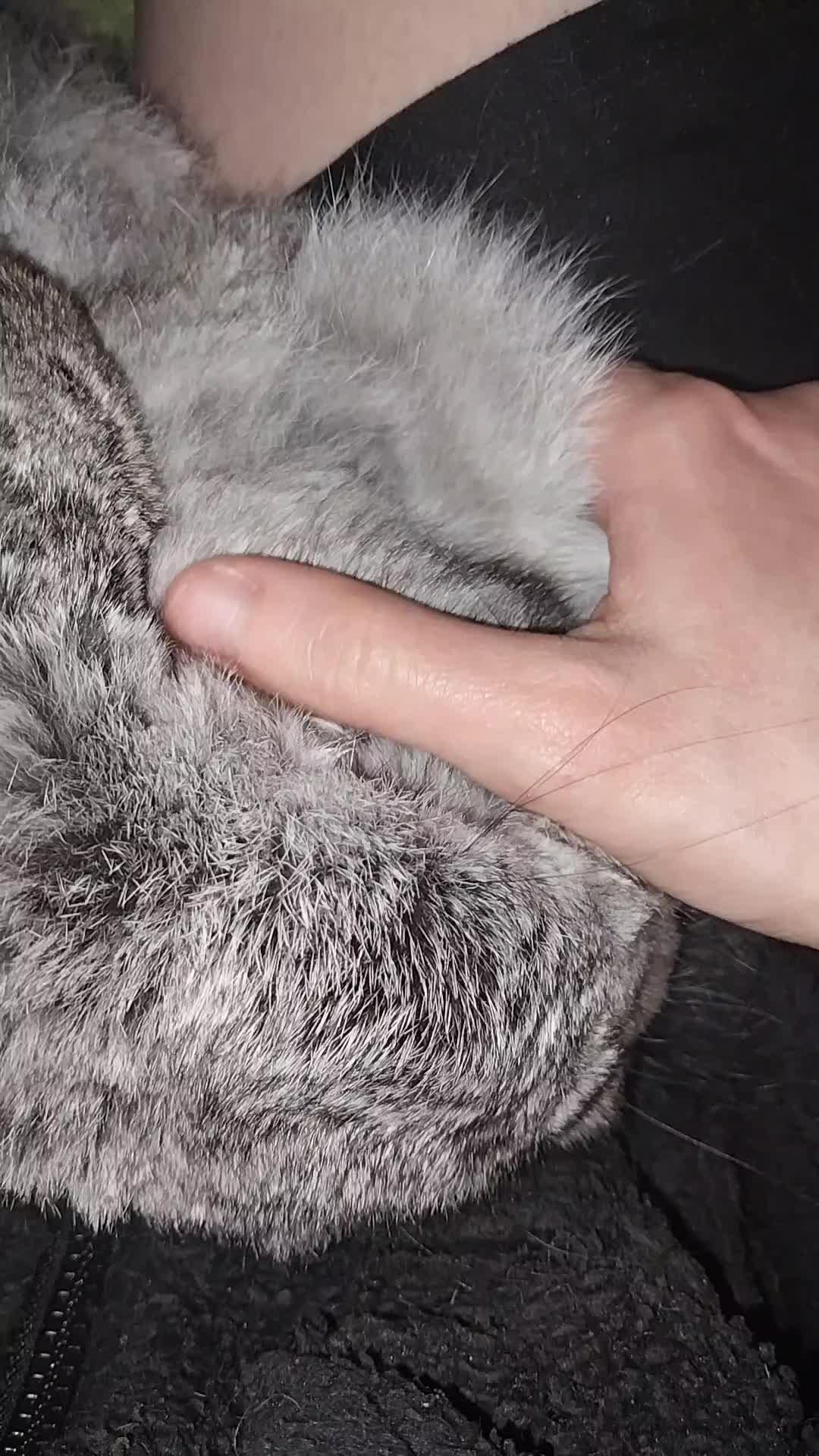 @Ashley🖤🖤🖤