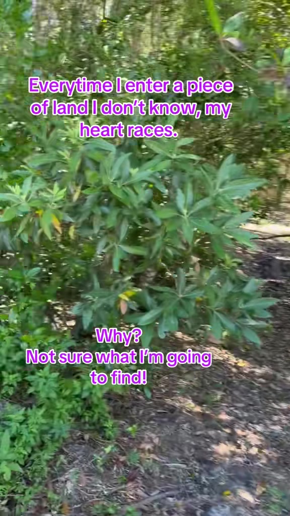 @Florida Land Guy