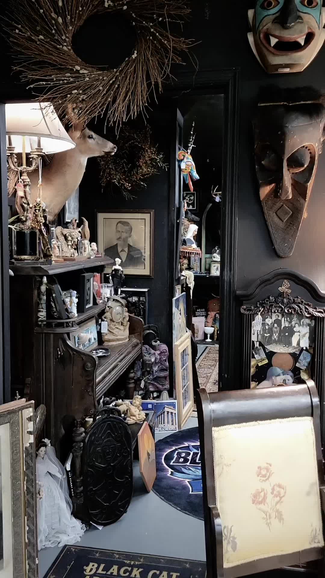 @blackorchidcuriosities