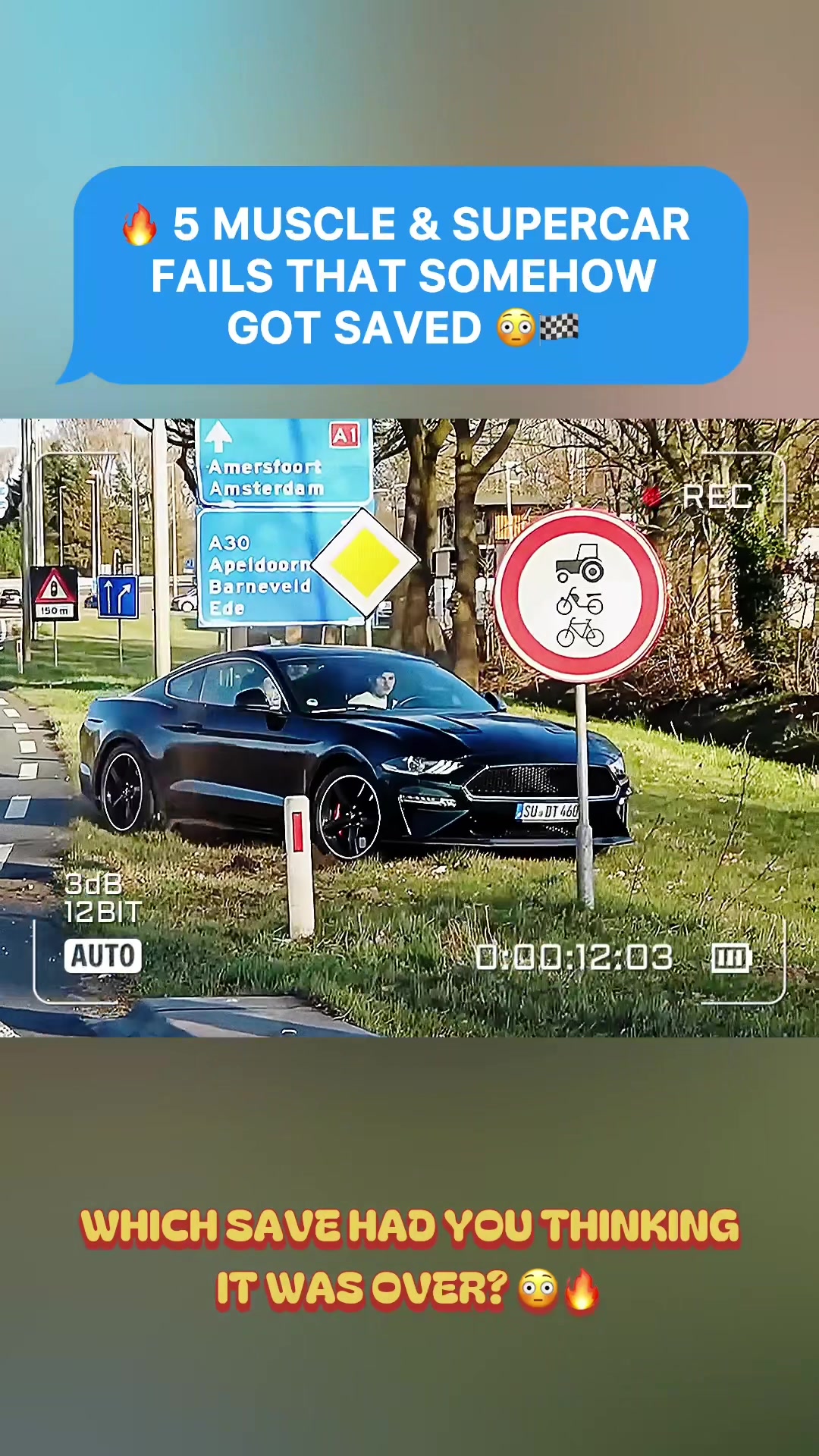 @Muscle Cars