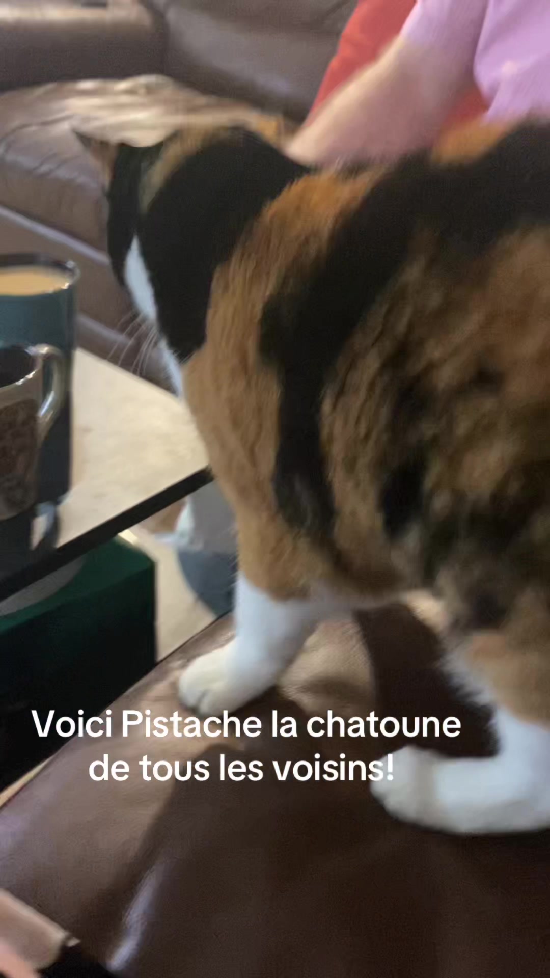 @Les poilus 🇨🇦