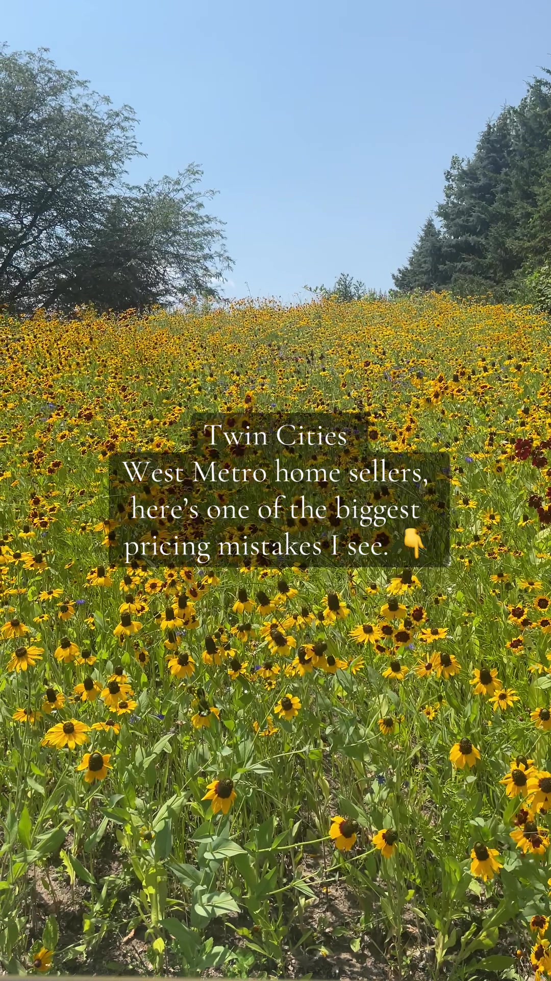 @Erica | Twin Cities Realtor®️