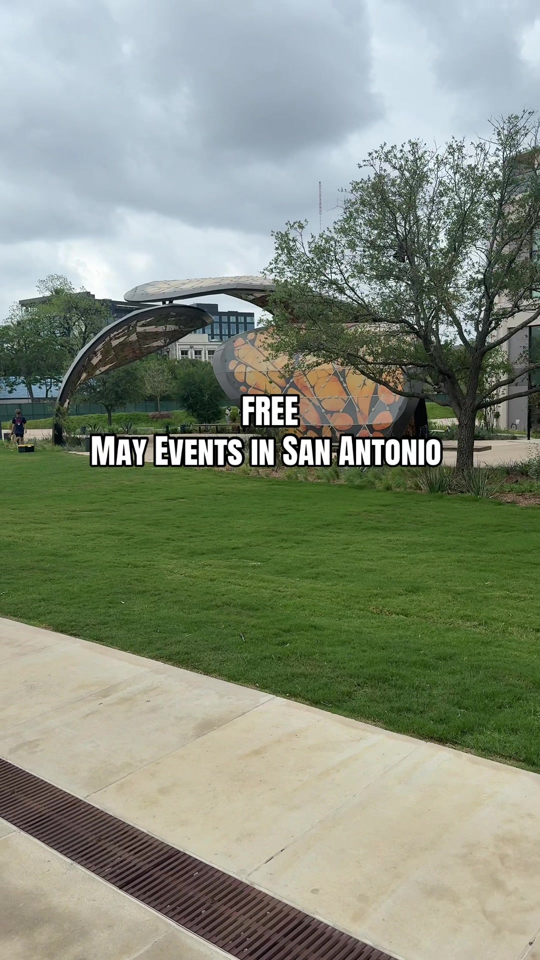 @Alexis | San Antonio Creator