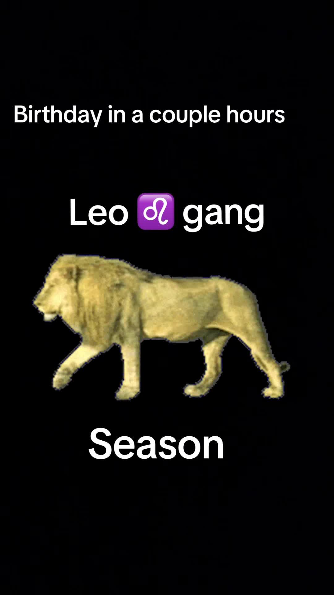 @STUDTINGZ🙃