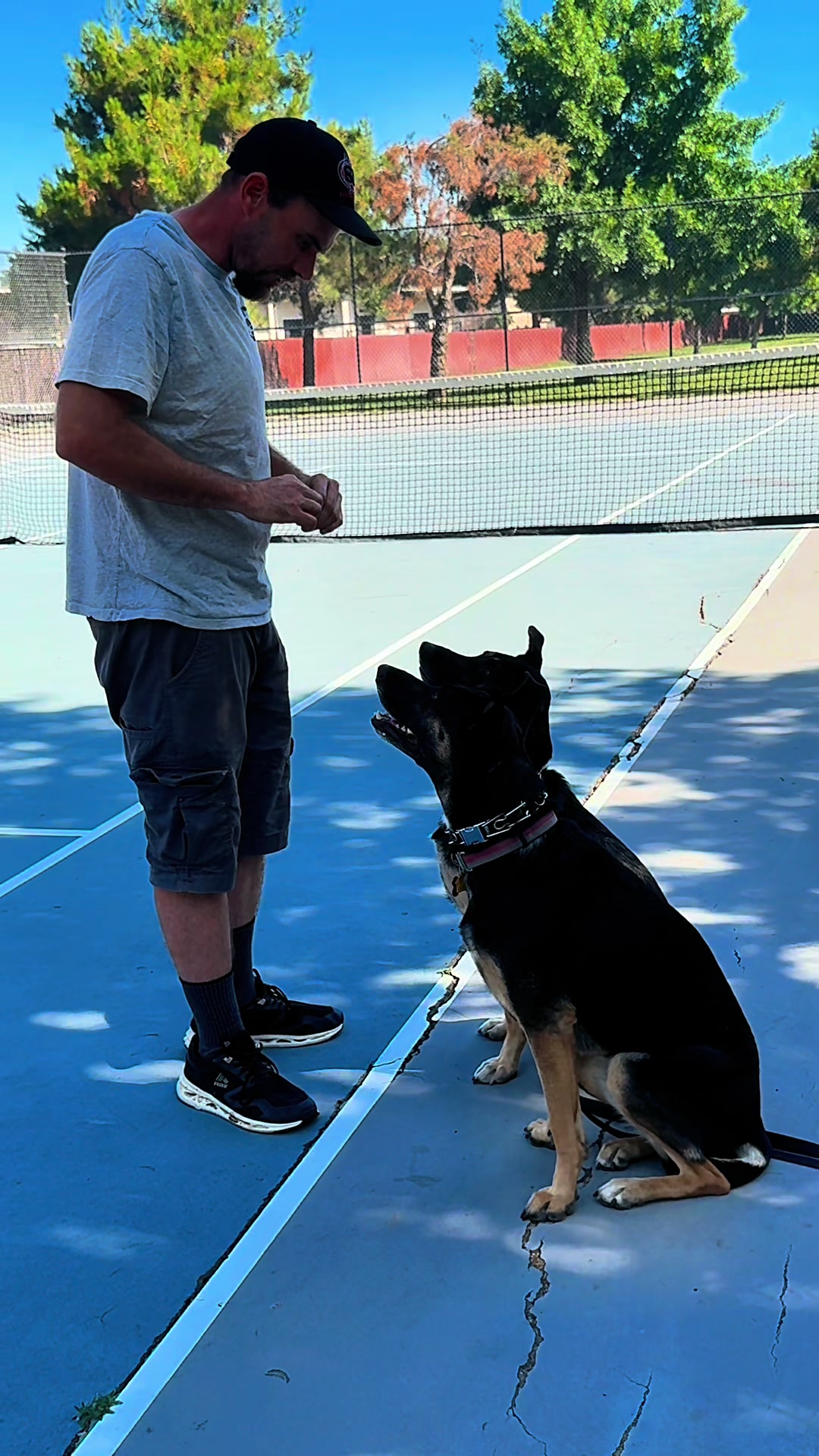 @Tactical K9s Dog Training