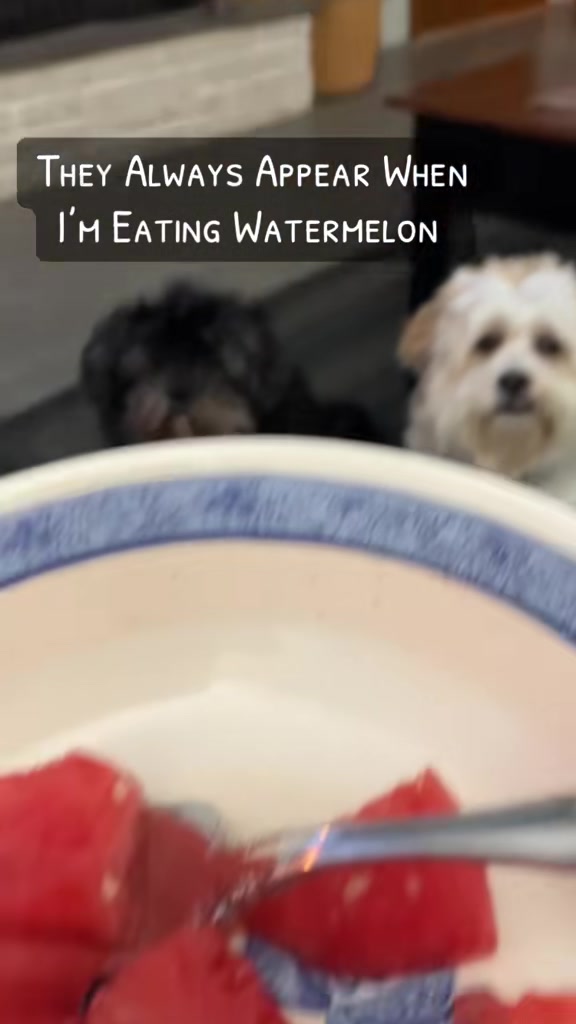 @Jen
