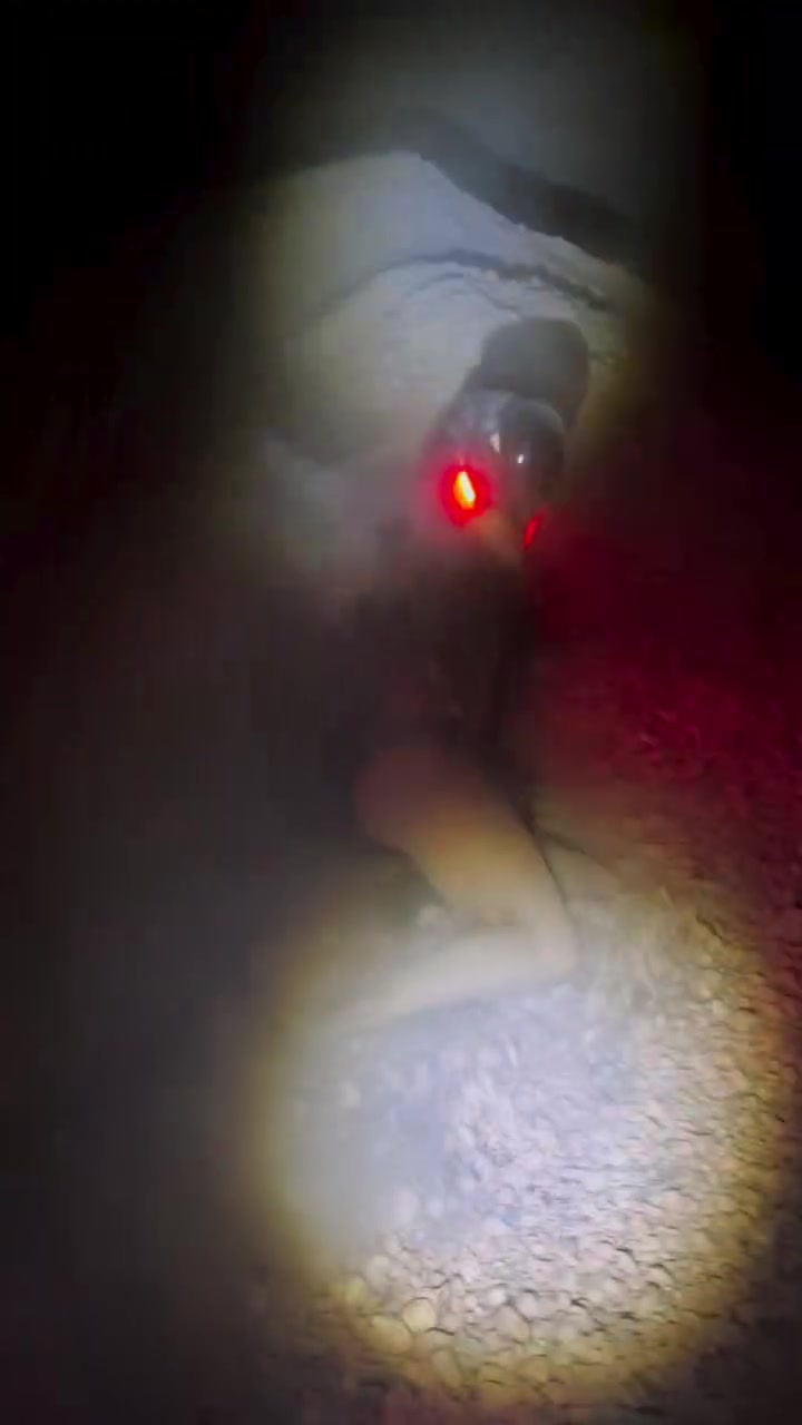 @Arca