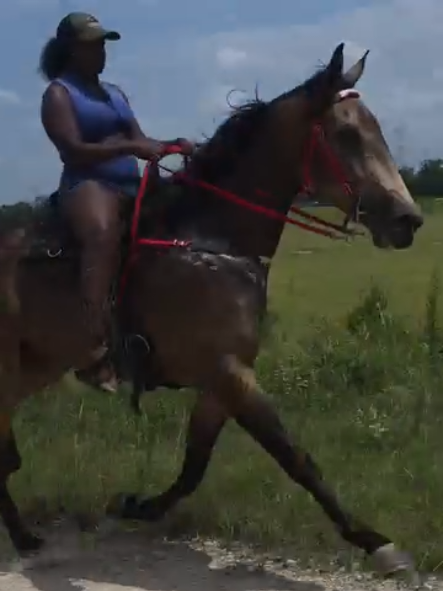 @Black Cowboy Coalition