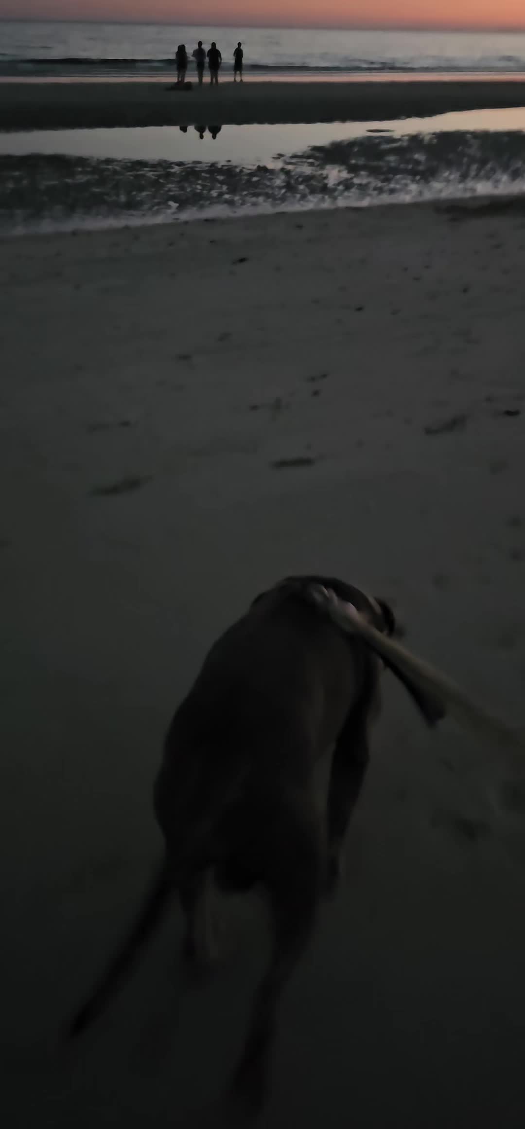 @kingTaitan