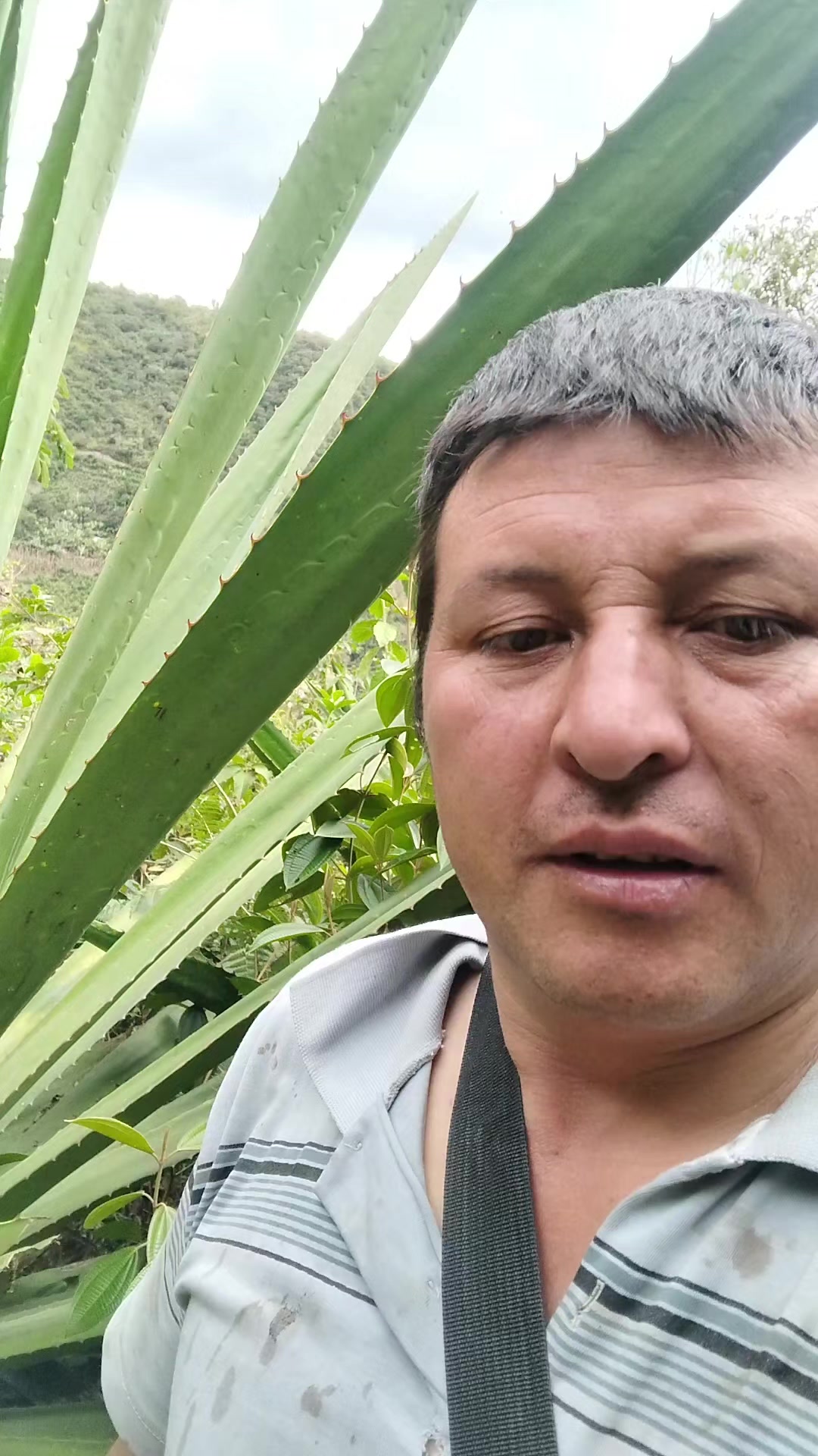 @# tío lucho