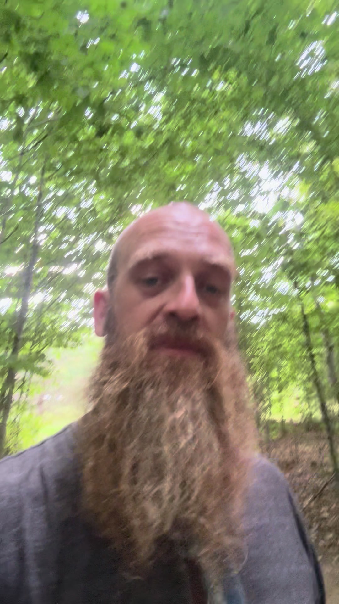 @Bearded bee man